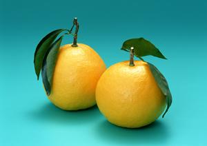 朝から昼の時間帯に楽しめるホストクラブ